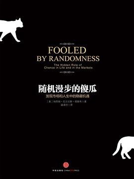 《随机漫步的傻瓜》封面