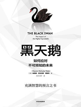 《黑天鹅》封面