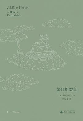 《如何捉鼹鼠》封面